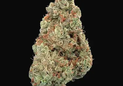 Pineapple Diesel Auto