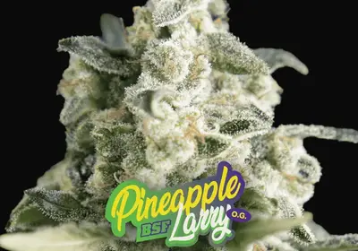 Pineapple Larry OG