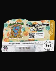 Pineapple Slush XL Auto