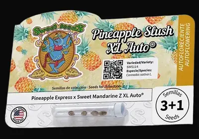 Pineapple Slush XL Auto