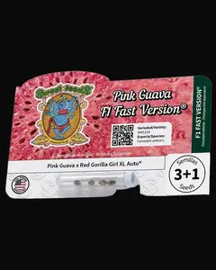 Pink Guava F1 Fast Version