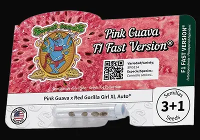 Pink Guava F1 Fast Version