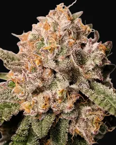 Pink Runtz Cake