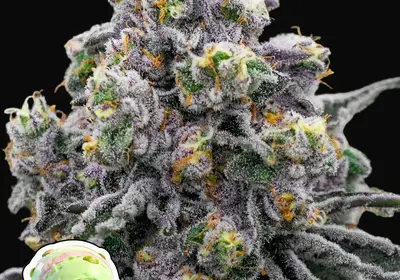 Pistachio Snow Cream