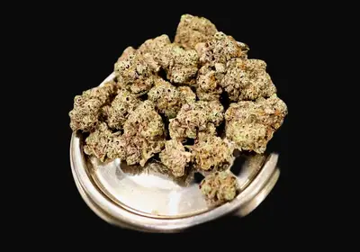 Princess Cake Auto
