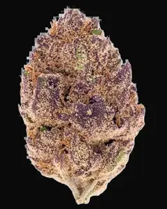 Purple Lemonade Auto