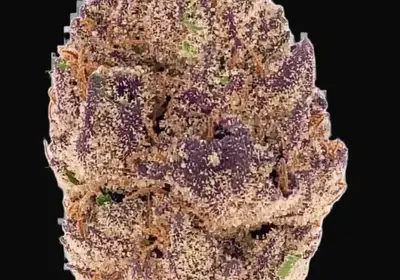 Purple Lemonade Auto