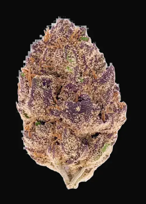 Purple Lemonade Auto
