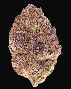 Purple Lemonade Auto