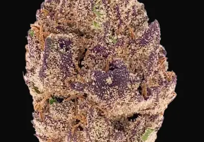 Purple Lemonade Auto