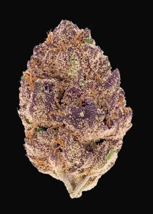 Purple Lemonade Auto