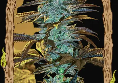 Purple Monkey Auto