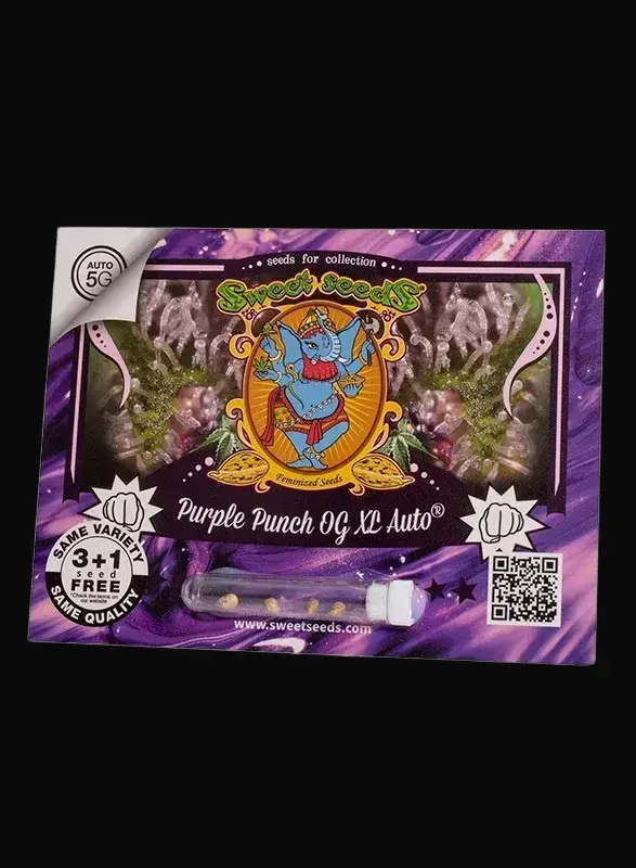 Purple Punch OG XL Auto — zdjęcie 2