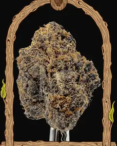 Quick Black Lemon