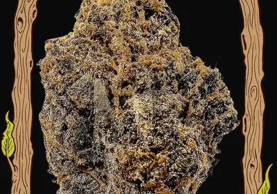 Quick Black Lemon