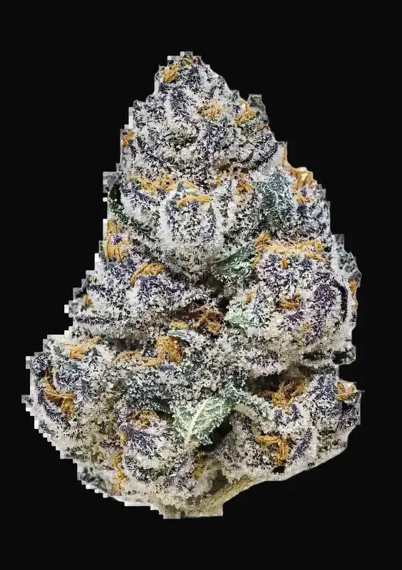 Rainbow Melon