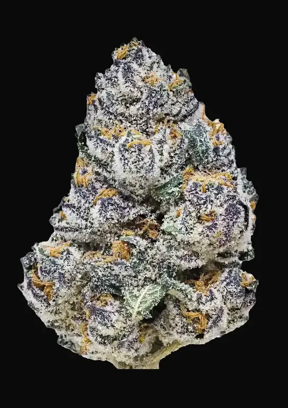 Rainbow Melon