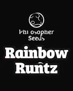Rainbow Runtz