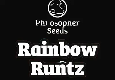 Rainbow Runtz