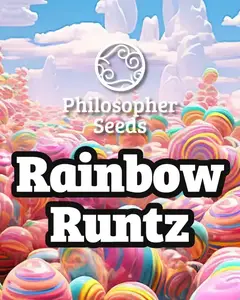 Rainbow Runtz