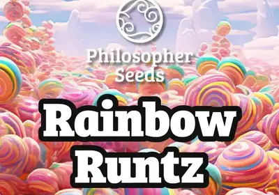 Rainbow Runtz