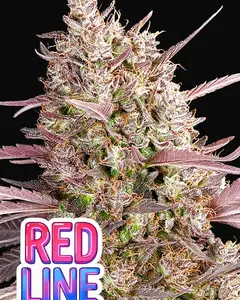 Red Line