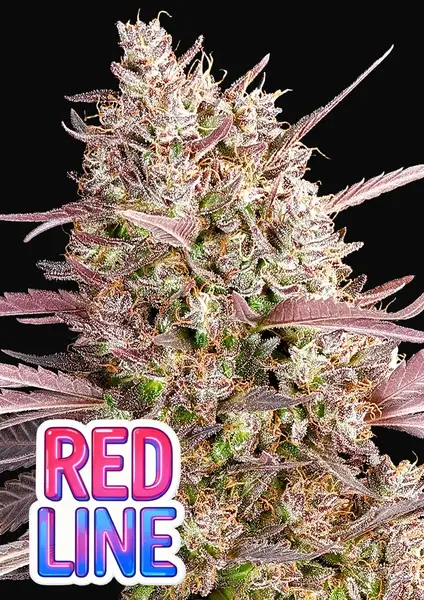 Red Line