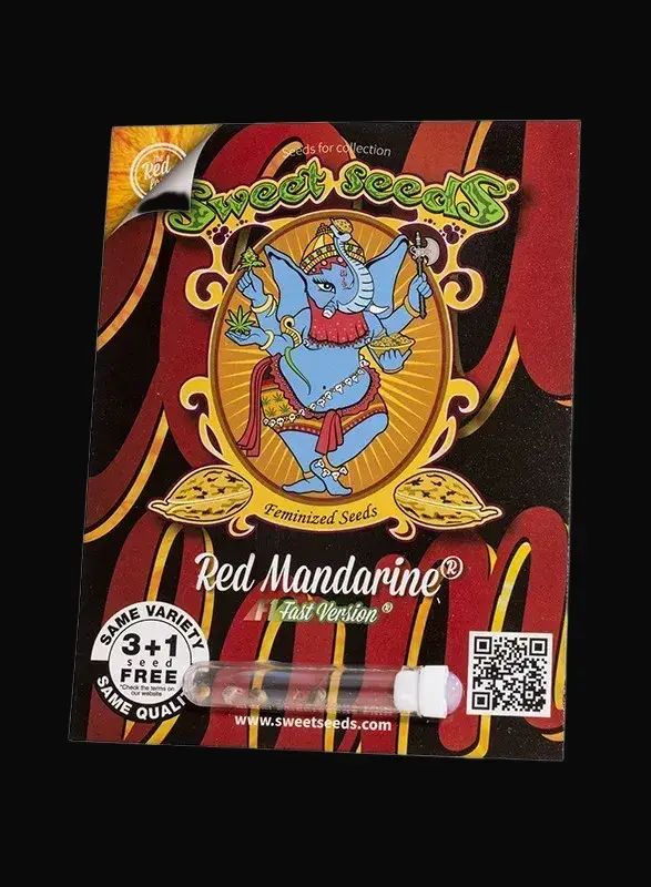 Red Mandarine F1 Fast Version — zdjęcie 3