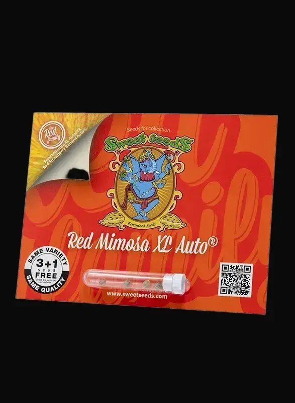 Red Mimosa XL Auto — zdjęcie 2