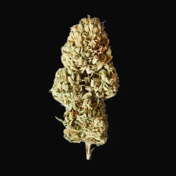 Royal AK Auto — zdjęcie 3
