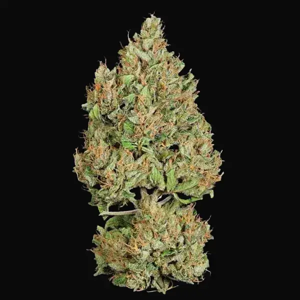 Royal Cookies Auto — zdjęcie 7