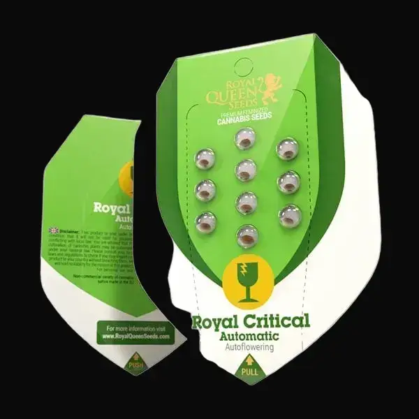 Royal Critical Auto — zdjęcie 2