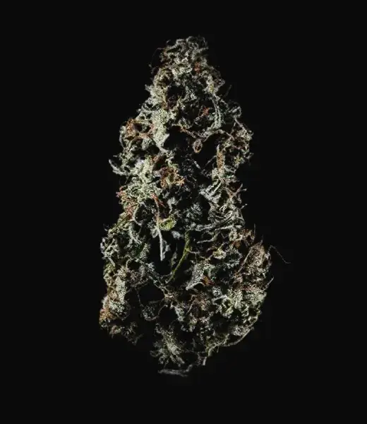 Royal Haze Auto — zdjęcie 6