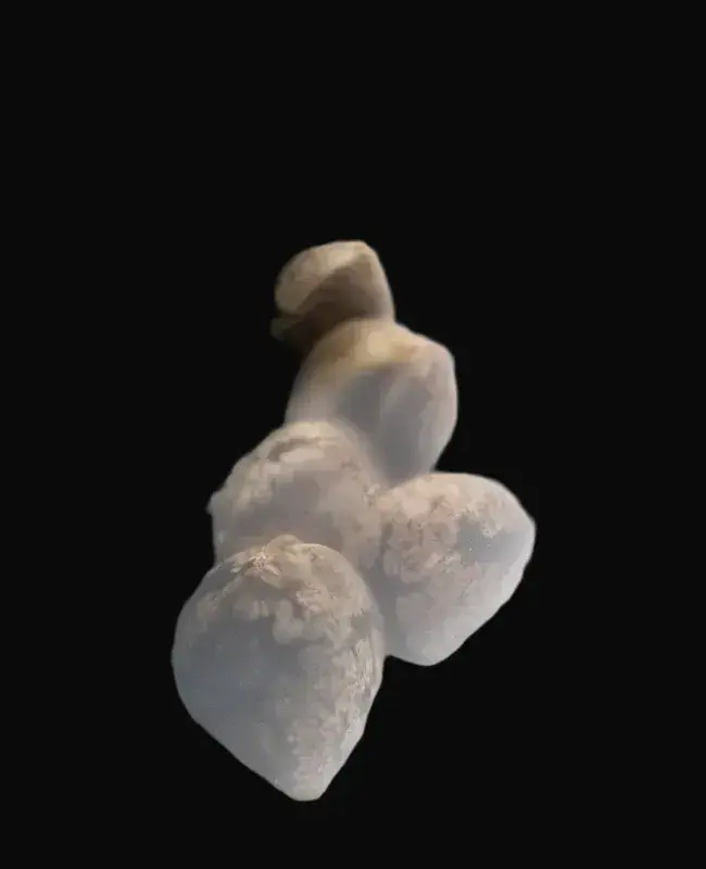 Ruderalis Skunk Regular — zdjęcie 2