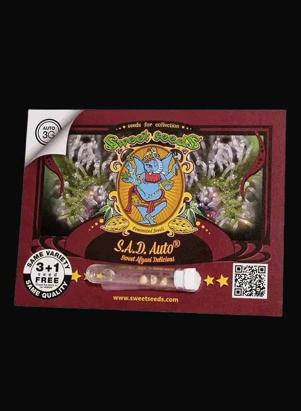 S.A.D. Sweet Afgani Delicious Auto — zdjęcie 2