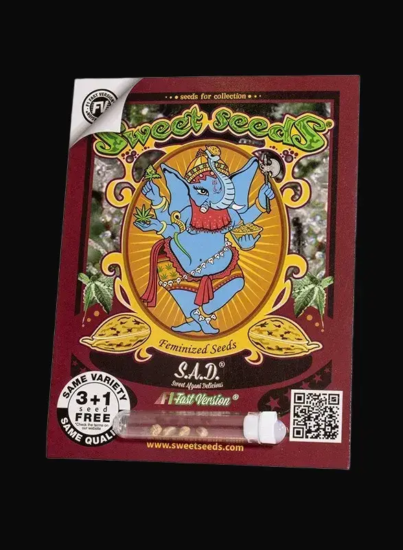 S.A.D. Sweet Afgani Delicious F1 Fast Version — zdjęcie 2
