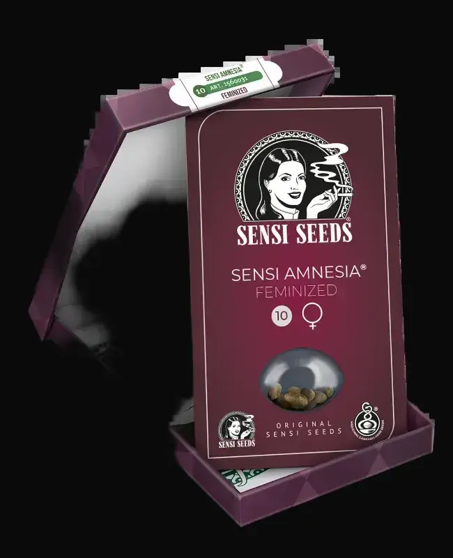 Sensi Amnesia Feminized — zdjęcie 5