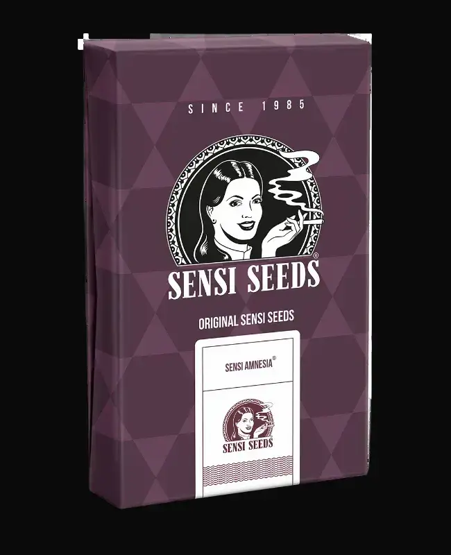 Sensi Amnesia Feminized — zdjęcie 2