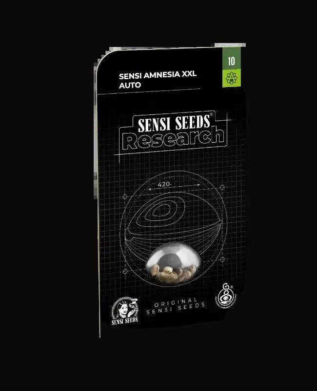 Sensi Amnesia XXL Automatic — zdjęcie 2