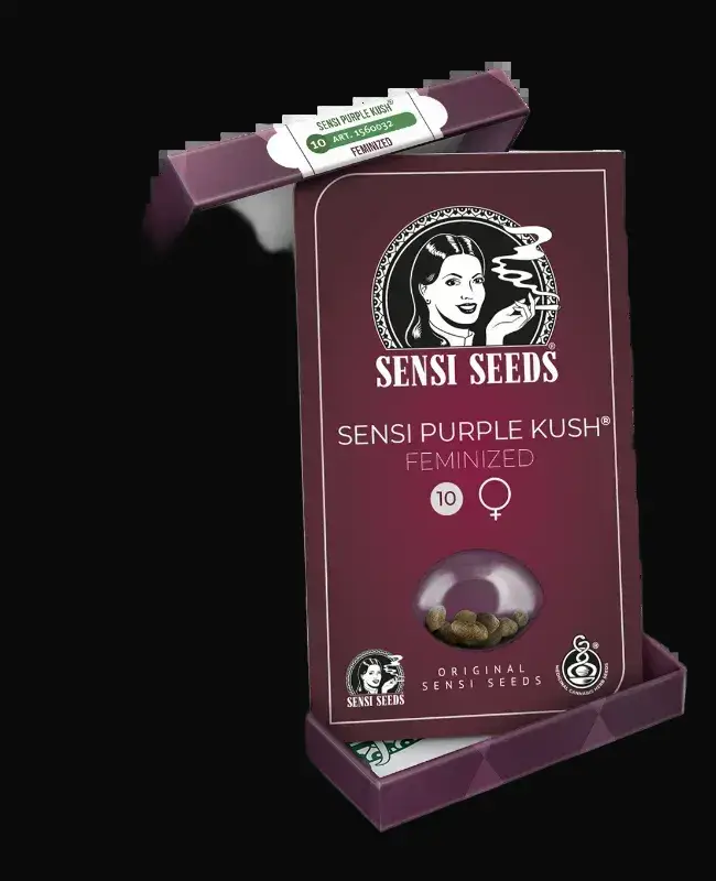 Sensi Purple Kush Feminized — zdjęcie 2