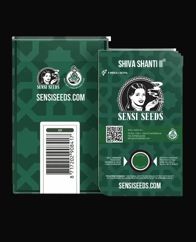 Shiva Shanti II Regular — zdjęcie 5