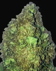 Short & Sweet Auto