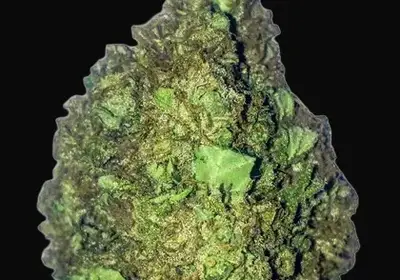 Short & Sweet Auto