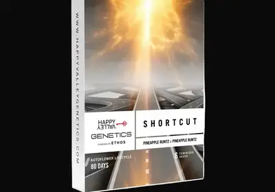 Shortcut Auto