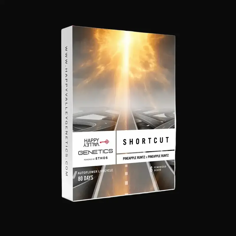 Shortcut Auto