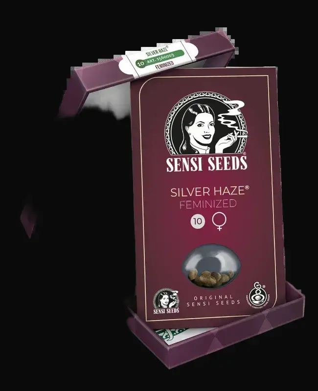 Silver Haze Feminized — zdjęcie 6