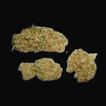 Skunk #11 — zdjęcie 3