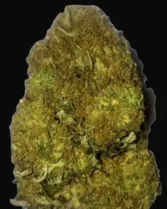 Skunky Monkey Auto