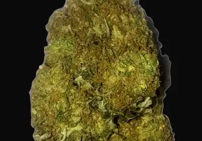 Skunky Monkey Auto