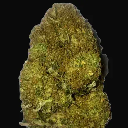 Skunky Monkey Auto